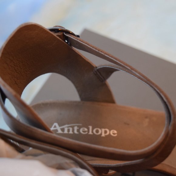 Antelope Greige Ankle-Strap Leather Sandal in Luxe Leather $225 - Picture 11 of 13